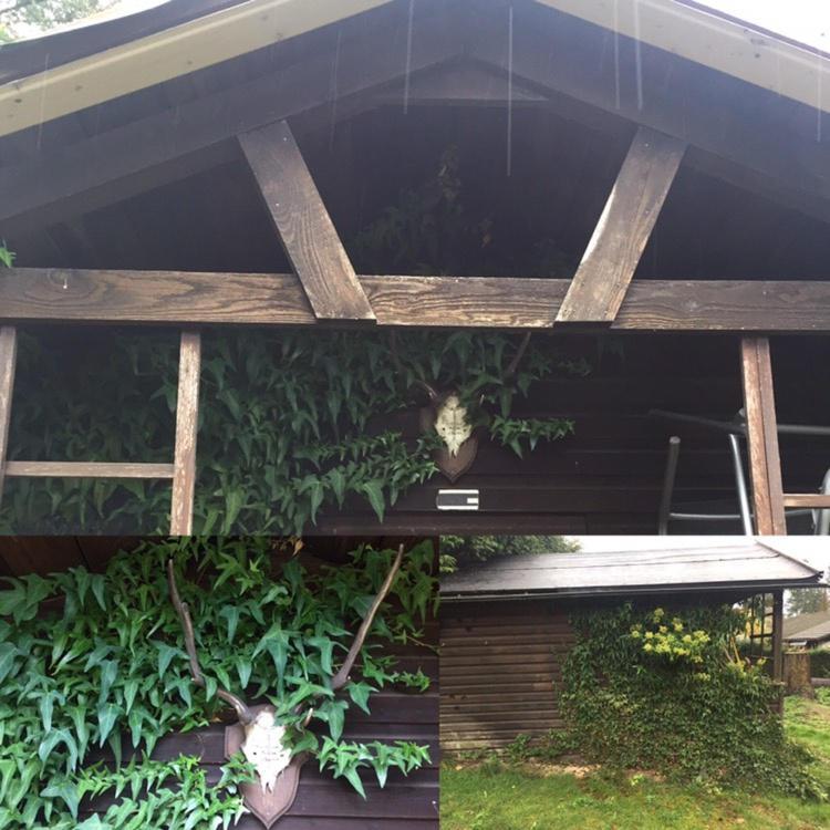 Ferienhaus Braunfels Villa Eksteriør billede