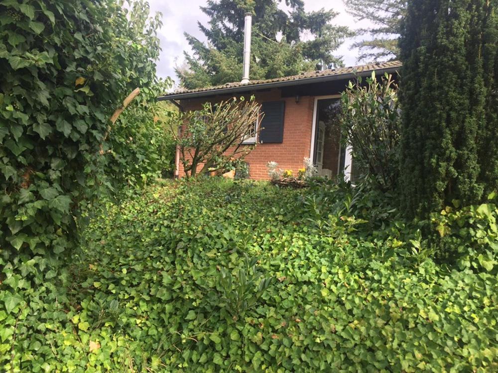 Ferienhaus Braunfels Villa Eksteriør billede