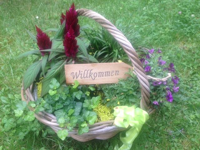 Ferienhaus Braunfels Villa Eksteriør billede